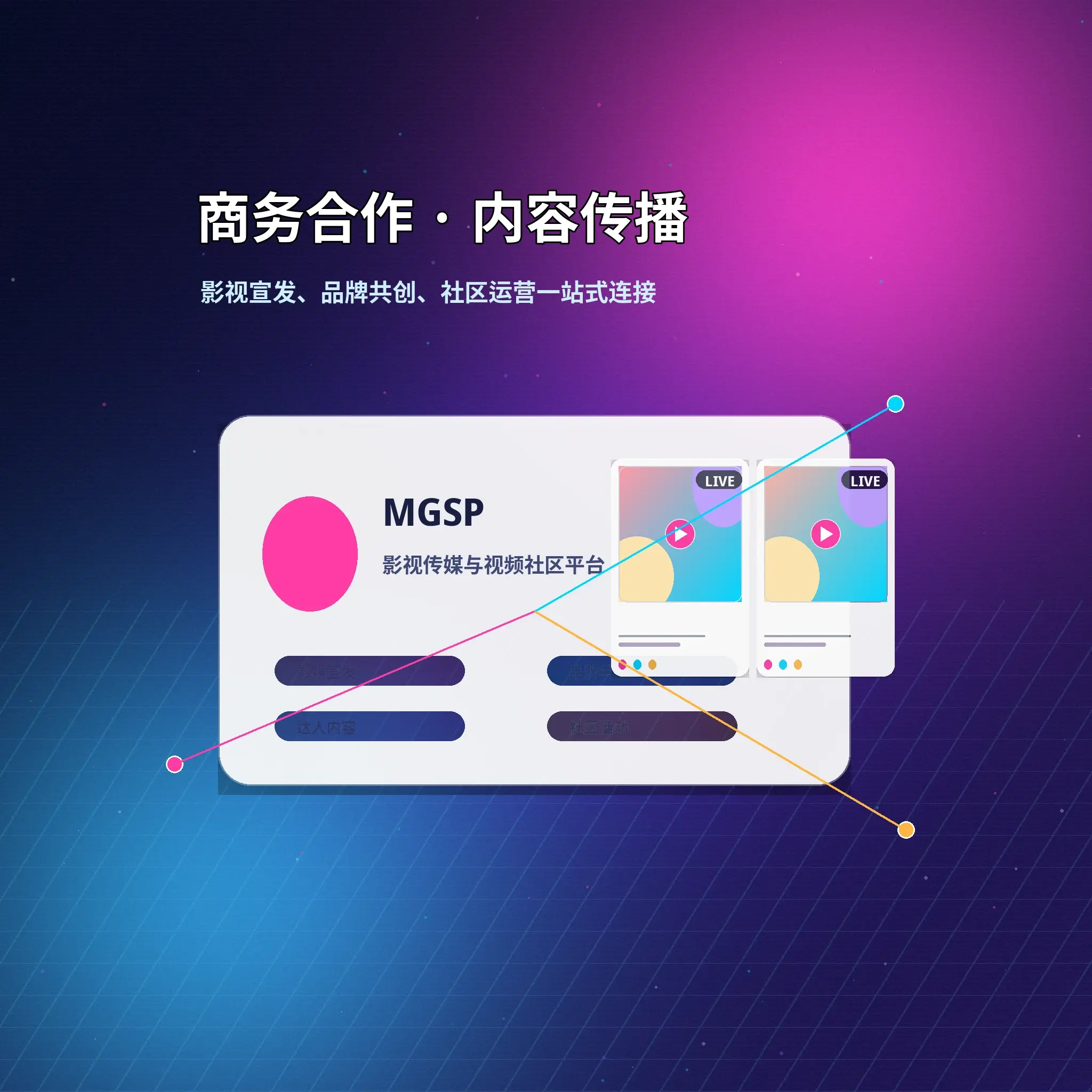 蘑菇视频用户反馈与服务支持